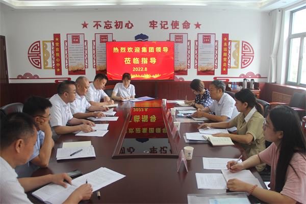 集團領(lǐng)導蒞臨公司調(diào)研業(yè)務(wù)經(jīng)營工...